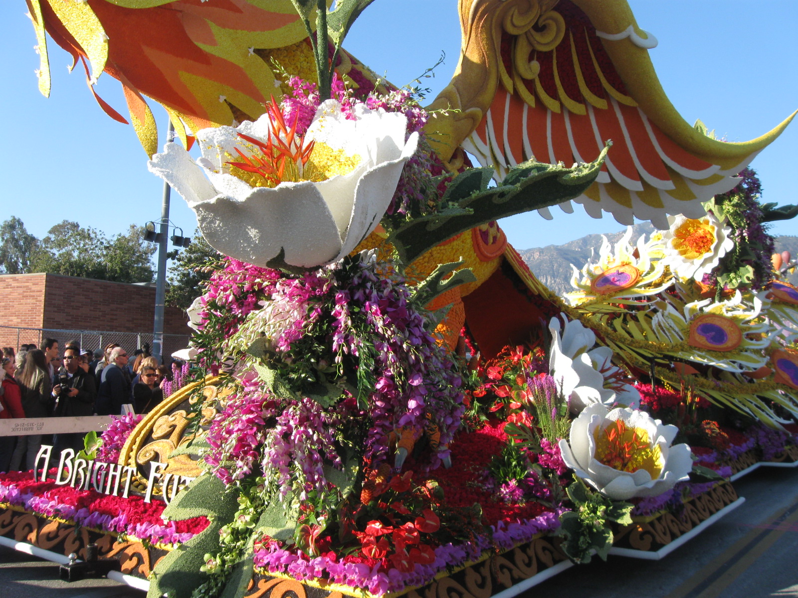 rose parade 2015 222.JPG