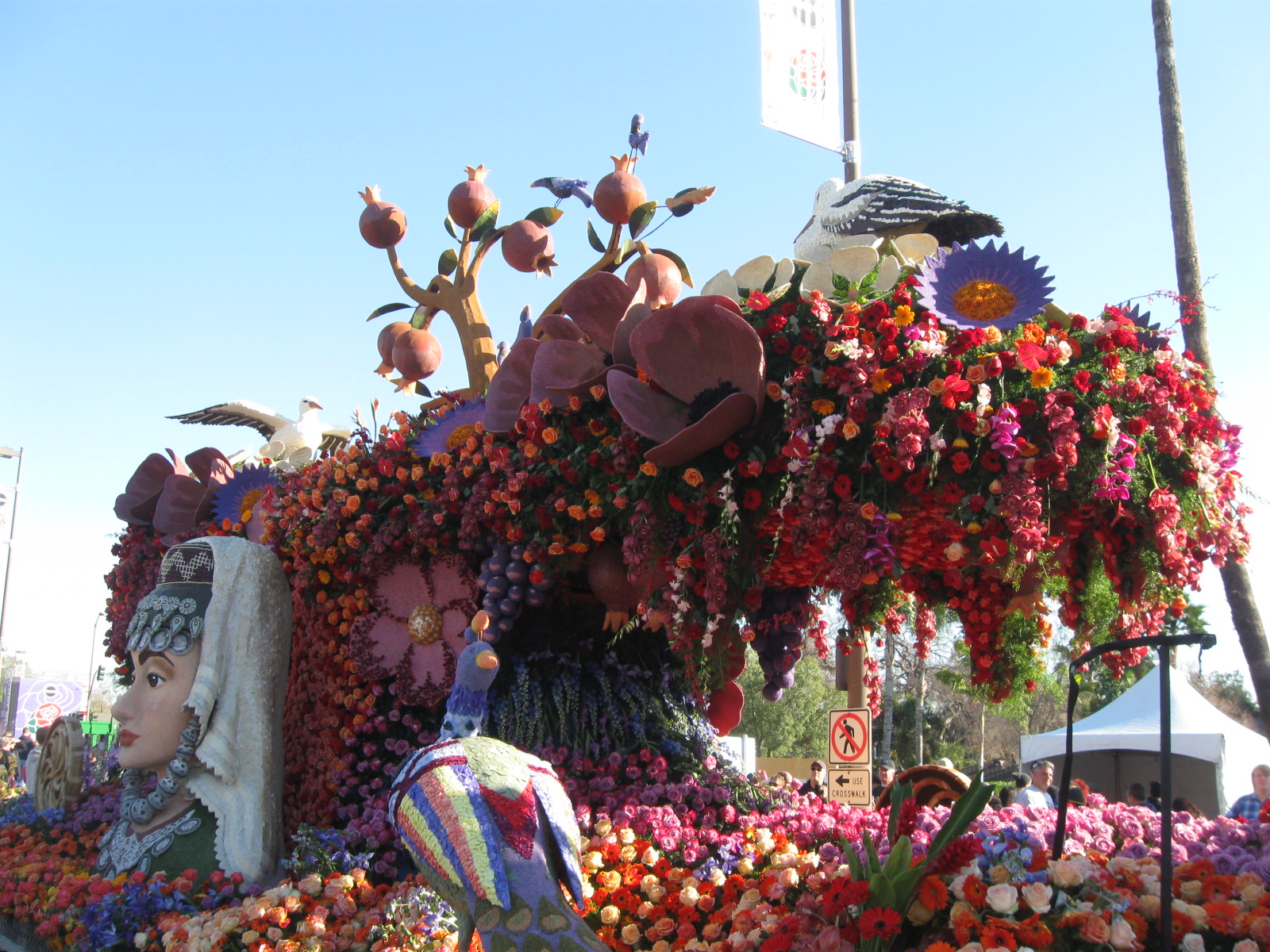 rose parade 2015 096.JPG